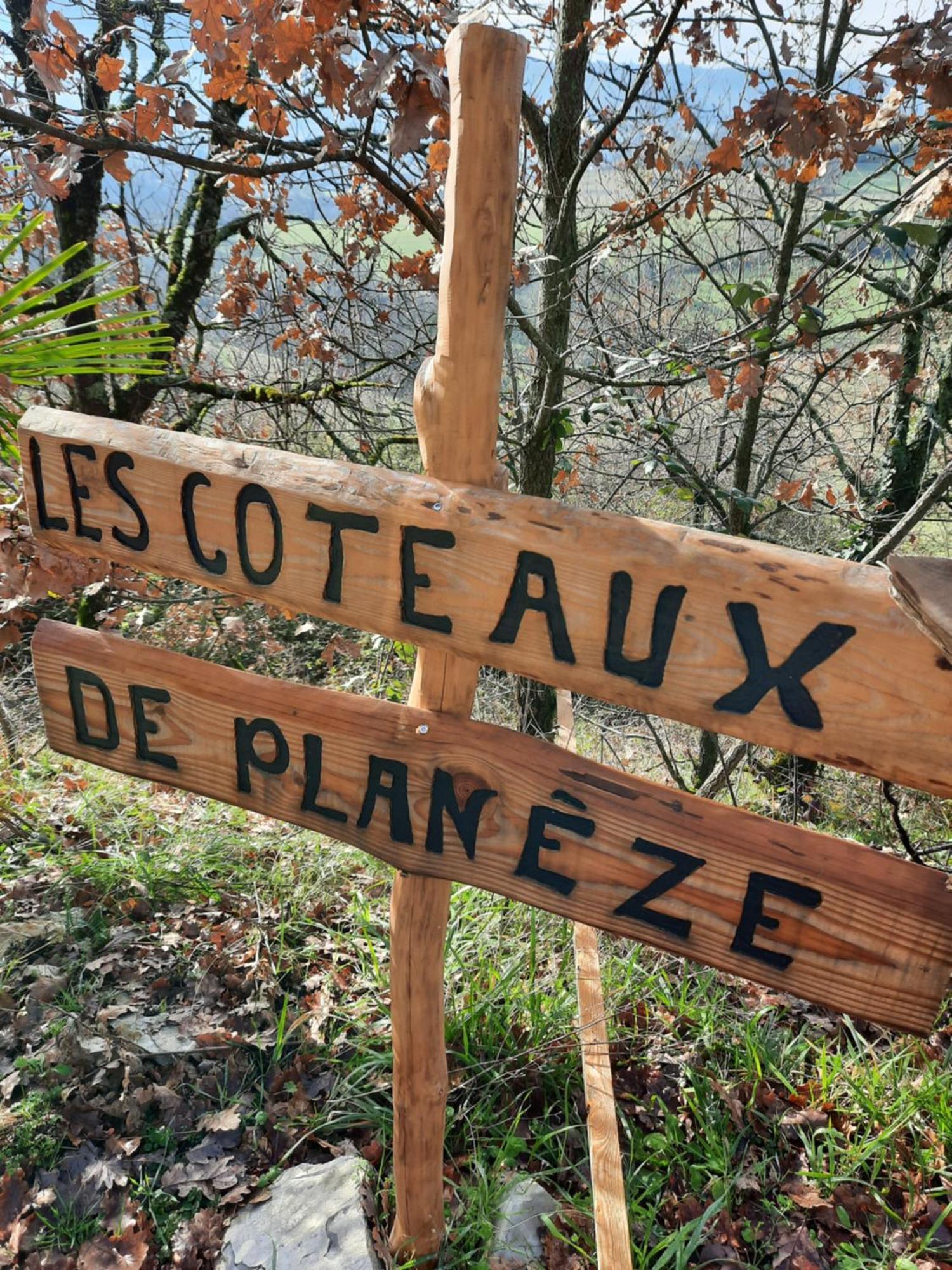 Les Coteaux De Planeze, Chambre Pour 2, 3 Ou Famille Nombreuse 2 Adultes 5 Enfants Et Jeunes Belmont-Bretenoux Eksteriør bilde
